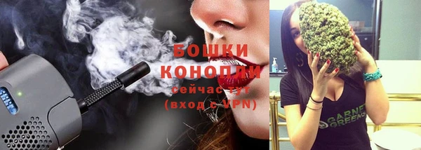 прущие грибы Няндома