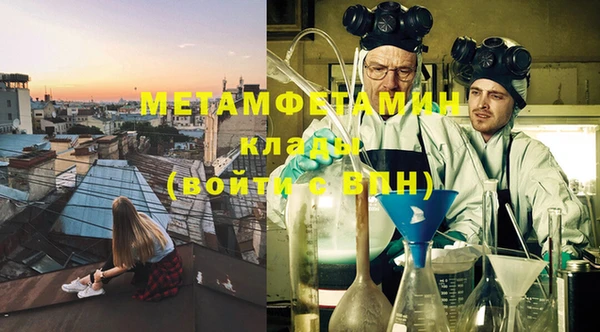 прущие грибы Няндома