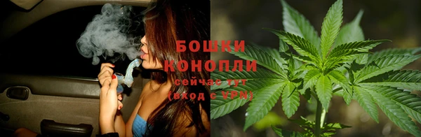 Альфа ПВП Новодвинск