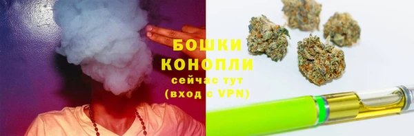 Альфа ПВП Новодвинск