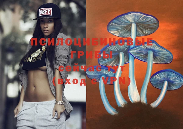 Альфа ПВП Новодвинск