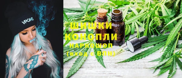 прущие грибы Няндома