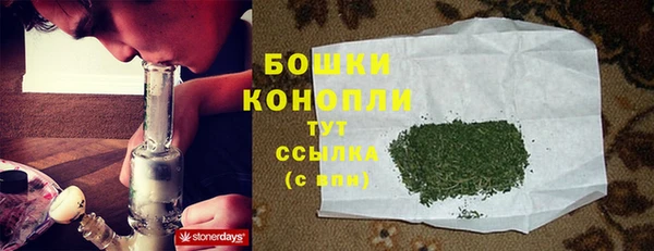 прущие грибы Няндома