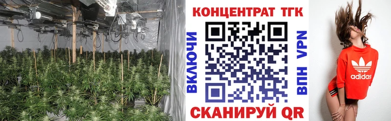 ТГК Wax  Полярный 