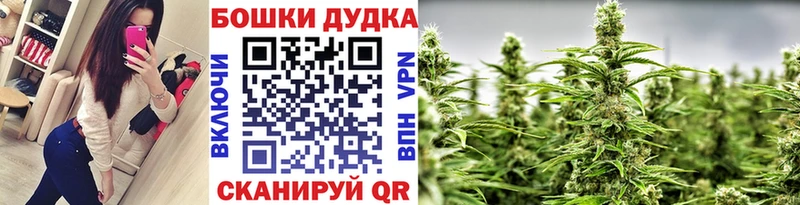 Шишки марихуана ГИДРОПОН  Полярный 
